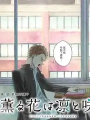 老街慢生活户外真人秀全集在线观看